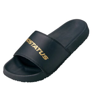 yZETT/[bgz 싅 vXeC^X T_ BSR4090