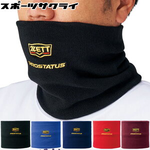 yZETT/[bgz lbNEH[}[ 싅 ~ g[jO  h ۉ jbg g  JWA vXeC^X  l BFN110