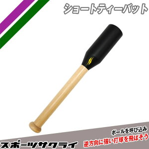 ytB[htH[Xz V[geB[obg eB[Ōpؐobg obeBOK fU 싅 g[jOpi FSTB-50