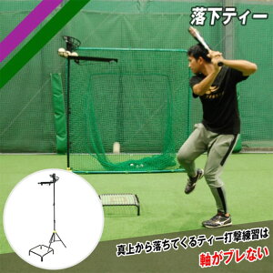 ytB[htH[Xz eB[ obeBOK ŌK g[jOpi obeBOeB[ 싅  `[ N싅 FBT-500