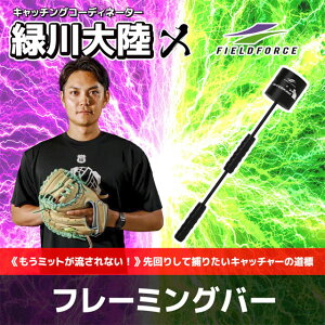 tB[htH[X t[~Oo[ ΐ嗤 Lb`[ ߎ ߋK Lb`OK g[jO 싅 FRMBA-400M