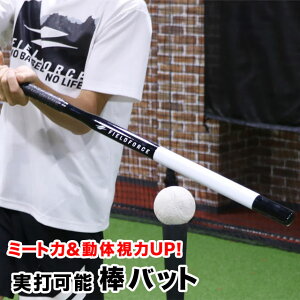 tB[htH[X _obg {[ŉ\ 80cm/600g obeBO ~[gK g[jOobg FTBB-8060