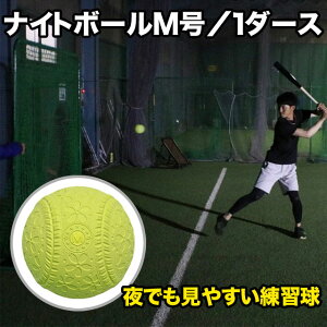 tB[htH[X iCg{[ M 1_[X 12 ł₷K CG[  FNB-7212MYN