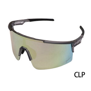 ジームス Zeems 偏光レンズサングラス スポーツサングラス 専用ケース付き 25SS 野球 一般 大人 ZSW-595