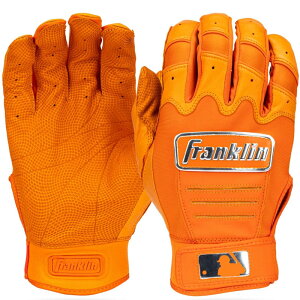 tN Franklin obeBOOu p CFX PRO CHROM 싅 obeBOO[u  l 20604