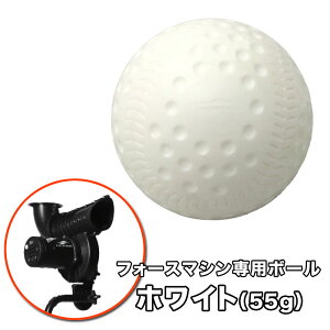 tB[htH[X tH[X}Vp{[ zCg55g 12 _[X 싅  `[ FFMC-55G