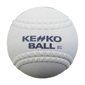 iKZPR[ KENKO 2026NVKi S\tg{[ 1 12C`  苅 \tg{[ 3{[  l KENKO-12