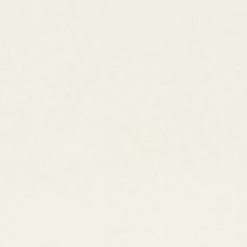 【クーポンあり】バレエ リノリウム 床 シート ホワイト色 自宅 リノリウム 白 同等品 ダンスマット スタジオ 床材 フロアーシート 【送料無料】