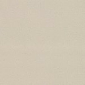 【12/1限定! ポイント2倍】【楽天1位受賞】【送料無料】バレエ リノリウム 自宅用 ベージュ 巾182cm×1m バレエ リノリウム 同等品 バレエ リノリウム 家庭用リノリウム シート バレエ リノリウム リノリウム シート リノリウム バレエ リノリウム マット バレエ用 自宅