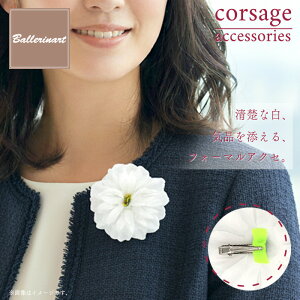 y11/20`271:59|Cg2{zRT[W oG u[` fB[X  tH[} i  Ǝ l ㎿ v[g j oG\   킢 lC l 