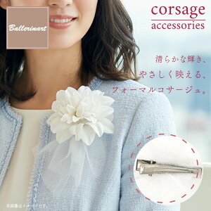 y11/20`271:59|Cg2{zRT[W oG u[` fB[X  tH[} i  Ǝ l ㎿ v[g j oG\   킢 lC l 