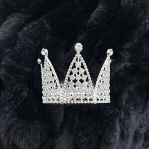 yN[|zeBA uC_ lC EGfBO  ԉ oG wAANZT[ wbhhX    킢 vZX  Pl  l q 