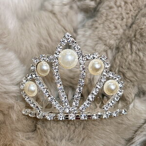 y11/4`11}\ |Cg2{zoG eBA vZX Pl uC_ lC EGfBO  ԉ wAANZT[ wbhhX   킢  q o