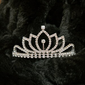 y11/20`271:59|Cg2{zoG eBA vZX Pl uC_ lC EGfBO  ԉ wAANZT[ wbhhX   킢  q oG