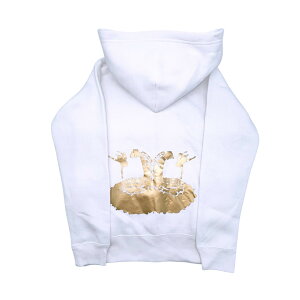 yN[|zoG W[W oG p[J[  F `` ߑ oG p[J[?LbY q l fB[X WjA Y oG W[W LbY oG Wbv p[J[ o