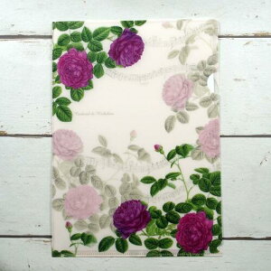 A4NAtH_[ J[fBihV[ sAm\v[g