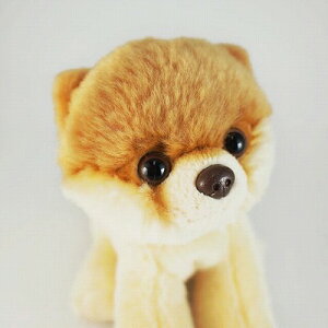 yN[|zboo ʂ M |jA Boo BOO  |jA ObY gund boo ʂ 킢  lC  v[g LOi j a NX}X ybg L