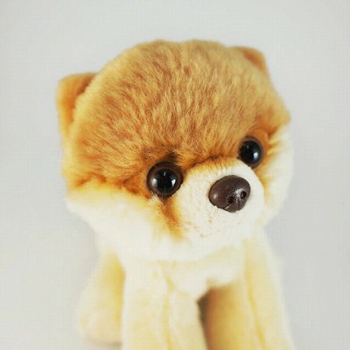 boo ぬいぐるみ M ポメラニアン Boo BOO 犬 ポメラニアン グッズ gund boo ぬいぐるみ かわいい 可愛い 人気 おすすめ プレゼント 記念品 お祝い お誕生日 クリスマス ペット キャラクター リアル ポメラニアンのブー 世界で一番可愛い犬に選ばれたBOO