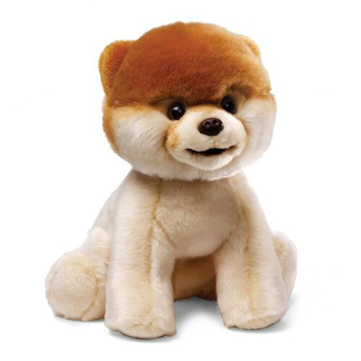 楽天市場 ポメラニアンのboo 世界で一番可愛い犬に選ばれたboo バレエ店バレリーナート楽天市場店
