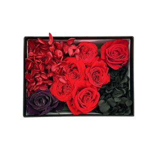 y12/1! |Cg2{zȉԔvU[uht[Mtg oG\sAmyɍœK qElւ̐lCv[g 킢LOiyɂ