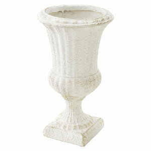 v^[@H53cm,PnƋ,PƋ,iƋ,GKg,}eBbN,NVbN,CeAR[fBl[^[̂X