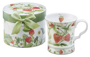 oG MtgBOX}OJbv }OJbv CA[f A} oG\v[g v[g j ̓  