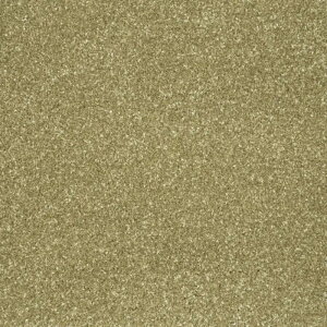 ���O �}�b�g ���O�}�b�g ���O�J�[�y�b�g ���� 140cm×200cm �Z�[�W�O���[�� ���� Twist Wool for public TNF21103 �c�C�X�g�E�[�� �t�H�[�p�u���b�N ���{�� �h�� �h�_�j �I�[�_�[���O �J�[�y�b�g