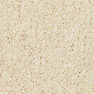 ���O �}�b�g 140cm×200cm �V�����p�[�j�� �u�����A���g�E�[�� Brilliant Wool TNF27001 ���{�� �I�[�_�[�\���i ���O�J�[�y�b�g