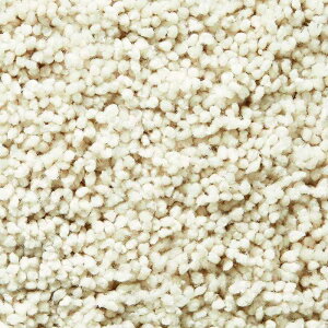 ���O �}�b�g 140cm×200cm �z���C�g Thick Nylon �V�b�N�i�C���� TNF31001 ���{�� �I�[�_�[�\���i ���O�J�[�y�b�g �h�� �h�_�j �z�b�g�J�[�y�b�gOK
