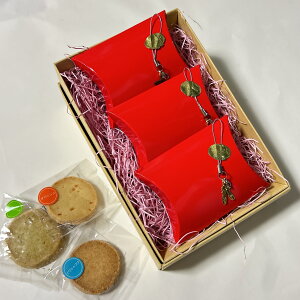 yN[|zoG\ v[g َq 3PZbg Ԕ oG`[Xgbvt  q 搶 v`Mtg o[i `[t ̎q  ԈȊO NbL[  