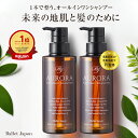 ミノキシジル 誘導体 スカルプ シャンプー オーロラシャンプー 2本セット キャピシル フルボ酸 ノンシリコン アミノ酸 リンス不要 全年齢 頭皮 抜け毛 ハリ 産後 女性 メンズ 毛髪診断士 監修 オーガニック 福袋 ギフト