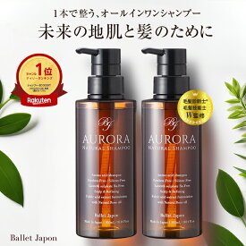 ミノキシジル 誘導体 スカルプ シャンプー オーロラシャンプー 2本セット キャピシル フルボ酸 ノンシリコン アミノ酸 リンス不要 全年齢 頭皮 抜け毛 ハリ 産後 女性 メンズ 毛髪診断士 監修 オーガニック 福袋 ギフト