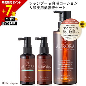 【ポイント7倍｜明日9:59終了】 ミノキシジル 誘導体 スカルプ シャンプー オーロラシャンプー 育毛 発毛 ローション 頭皮エッセンス 3種セット キャピシル フルボ酸 ノンシリコン アミノ酸 抜け毛 産後 女性 女性用 メンズ オールインワン 福袋 ギフト