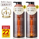 【FASHON THE SALE特価！最大100%ポイント】 ミノキシジル 誘導体 スカルプ シャンプー オーロラシャンプー 2本セット キャピシル フルボ酸 ノンシリコン アミノ酸 リンス不要 20代から80代 頭皮 抜け毛 ハリ 産後 女性 メンズ 毛髪診断士 監修 オーガニック