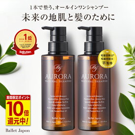 【最大41倍★超ポイントバック祭!12/15まで】 ミノキシジル 誘導体 スカルプ シャンプー オーロラシャンプー 2本セット キャピシル フルボ酸 ノンシリコン アミノ酸 リンス不要 20代から80代 頭皮 抜け毛 ハリ 産後 女性 メンズ 毛髪診断士 監修 オーガニック