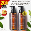 【12/4開始★8,800円⇒6,980円!】 ミノキシジル 誘導体 スカルプ シャンプー オーロラシャンプー 2本セット キャピシル フルボ酸 ノンシリコン アミノ酸 リンス不要 20代から80代 頭皮 抜け毛 ハリ 産後 女性 メンズ 毛髪診断士 監修 オーガニック