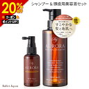 【12/4開始★9,800円⇒7,800円!】 ミノキシジル 誘導体 スカルプ シャンプー オーロラシャンプー 頭皮エッセンス 2種セット キャピシル フルボ酸 ノンシリコン アミノ酸 リンス不要 抜け毛 ハリ 産後 女性 女性用 メンズ 毛髪診断士 監修 オールインワン