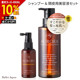 【最大41倍★超ポイントバック祭!12/15まで】 ミノキシジル 誘導体 スカルプ シャンプー オーロラシャンプー 頭皮エッセンス 2種セット キャピシル フルボ酸 ノンシリコン アミノ酸 リンス不要 抜け毛 ハリ 産後 女性 女性用 メンズ 毛髪診断士 監修 オールインワン