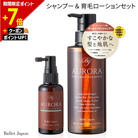【ポイント7倍｜明日9:59終了】 ミノキシジル 誘導体 スカルプ シャンプー オーロラシャンプー 育毛 発毛 ローション 2種セット キャピシル フルボ酸 ノンシリコン アミノ酸 リンス不要 抜け毛 産後 女性 女性用 メンズ 毛髪診断士 監修 オールインワン 福袋