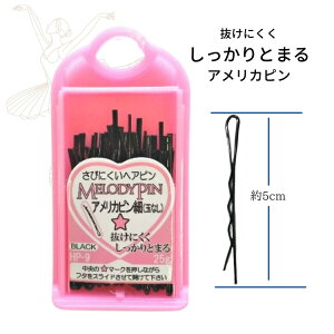 _LineFBł300~OFFN[|^AJs  iʂȂj fB[s Melody Pin yHP-9z oG Vj ܂Ƃߔ p[eB wAAW  LO w Ǝ փACN 