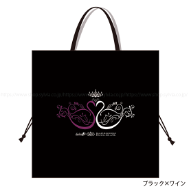 ＼スーパーセールクーポン配布中／コスチューム バッグ 衣装 バッグ 【Sylvia シルビア】 バレリーナ バレエ発表会 プレゼント 雑貨 ク レッスン シューズ入れ メッシュ バレエ バッグ