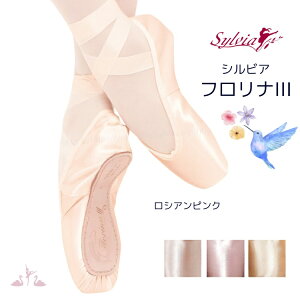 _LineFBł300~OFFN[|^tiIII VrA gDV[Y oG B C D E |gV[Y |gy Sylvia VrA z S yoGVbv AxXNz