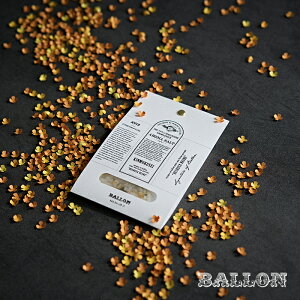 yBALLON zA}oX\g@gxgCAoX\gpbN@؍ҁ@|@BALLON@o@؍ҁ@Gߌ@H@LNZC@v[g