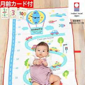 楽天市場 今治 タオル 出産祝い 名入れの通販