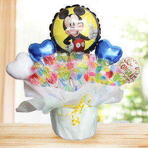 ~bL[ fBYj[ LfBu[P o[Mtg  o[ a o[ o[Xf[ LfB o[d disney 킢 jd Mtg JXj oYj \ 