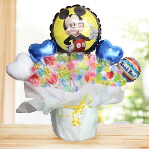 ~bL[ fBYj[ LfBu[P o[Mtg  o[ a o[ o[Xf[ LfB o[d disney 킢 jd Mtg JXj oYj \ 