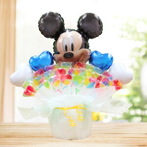 ~bL[ fBYj[ LfBu[P o[Mtg  o[ a o[ o[Xf[ LfB o[d disney 킢 jd Mtg JXj oYj \ 