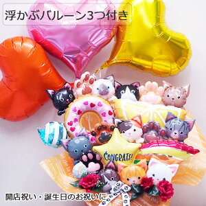  o[ t  ˂ ؂₩ o[AW JXj v[g Mtg o[Mtg ybgVbv ybgT g~OT a@ JtF  JX 