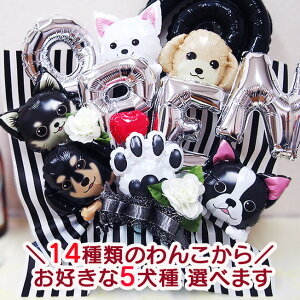 Iׂ錢 OPEN  JXj o[ AW o[Mtg  I[vj jd d ԈȊO ԑ v[g  a@ La@ hbOJtF JtF hbOT ybgV