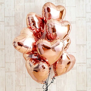 T-059 l[YS[hn[gɂƂB Ă͂ lC  o[Mtg D o[ JXj TvCY  a wEKX Nj o[d 